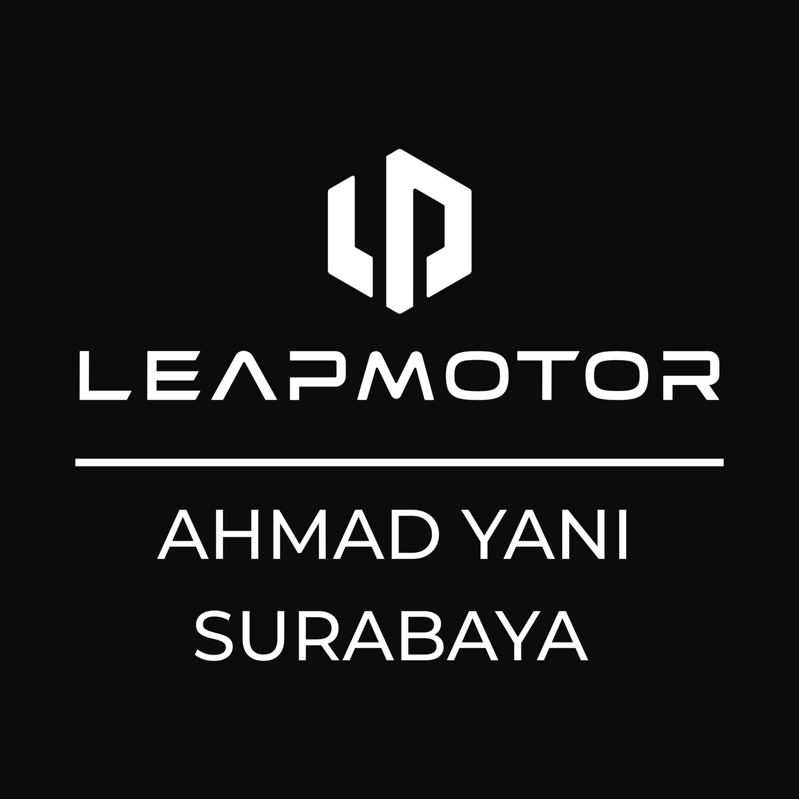 Leapmotor